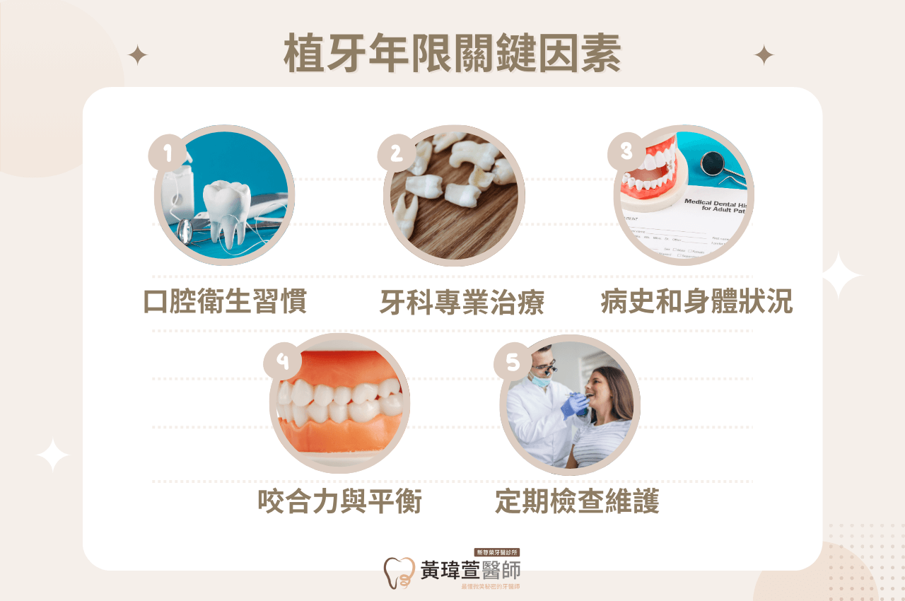 植牙年限關鍵因素